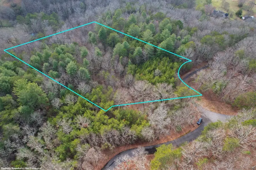 1 Mirandi Drive, Warne, NC 28909 - Image #2