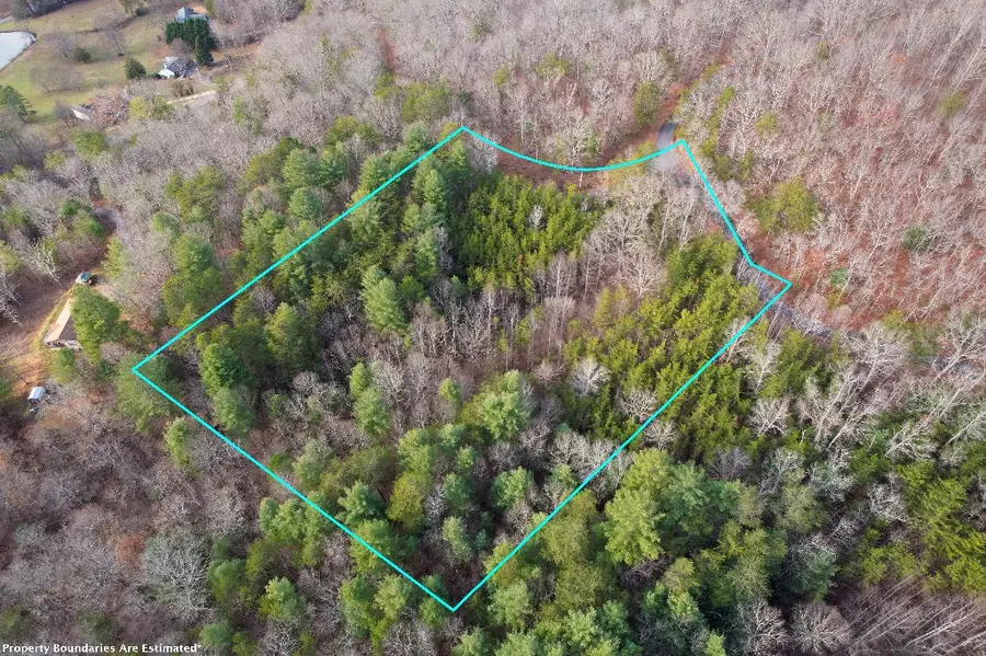 1 Mirandi Drive, Warne, NC 28909 - Image #3