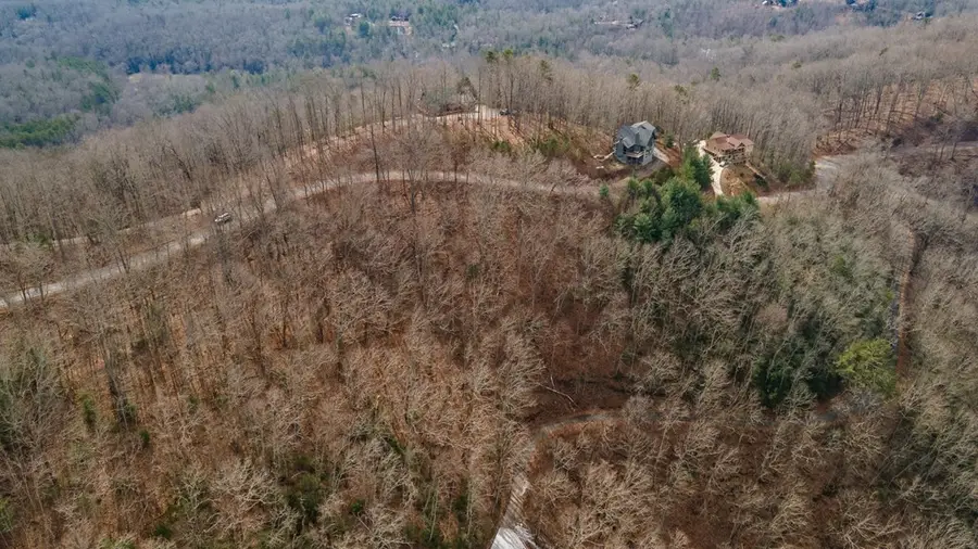 Lot 7 Ada Ridge Road, Mineral Bluff, GA 30559 - Image #2