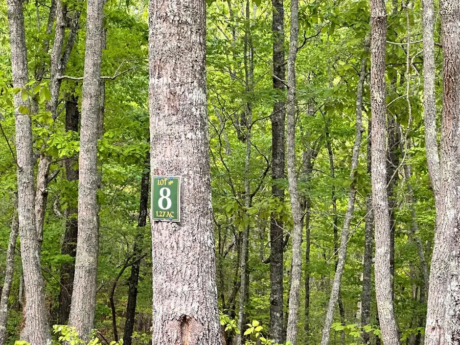 Lot 8 Settawig Overlook, Hayesville, NC 28904 - Image #2