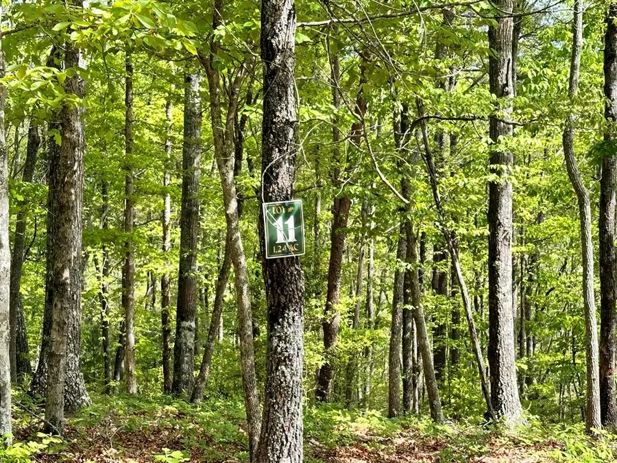 Lot 11 Settawig Overlook, Hayesville, NC 28904 - Image #2