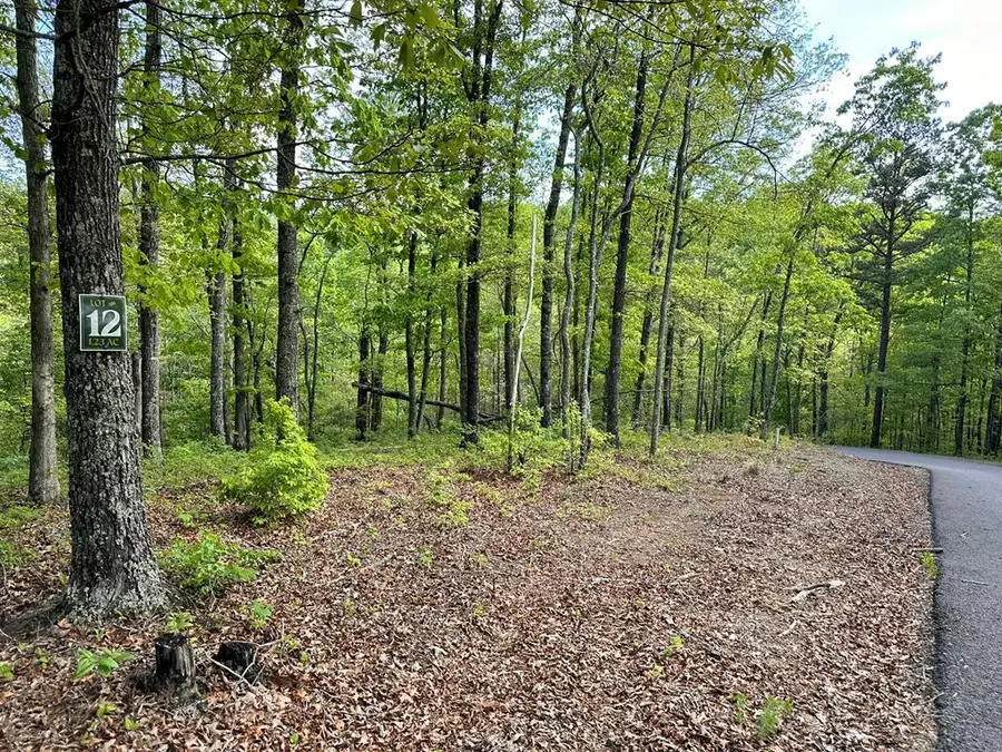 Lot 12 Settawig Overlook, Hayesville, NC 28904 - Image #2