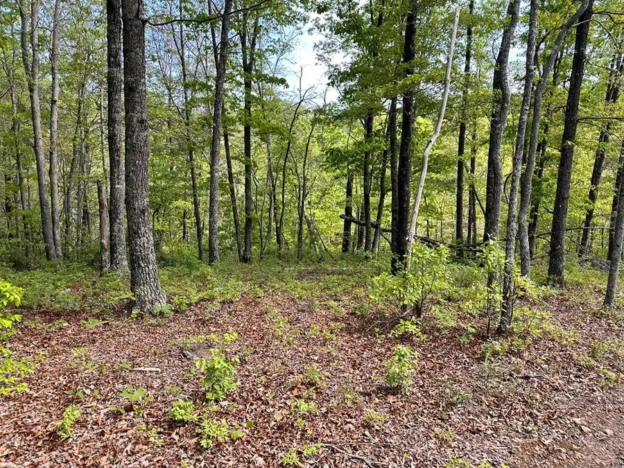 Lot 12 Settawig Overlook, Hayesville, NC 28904 - Image #3
