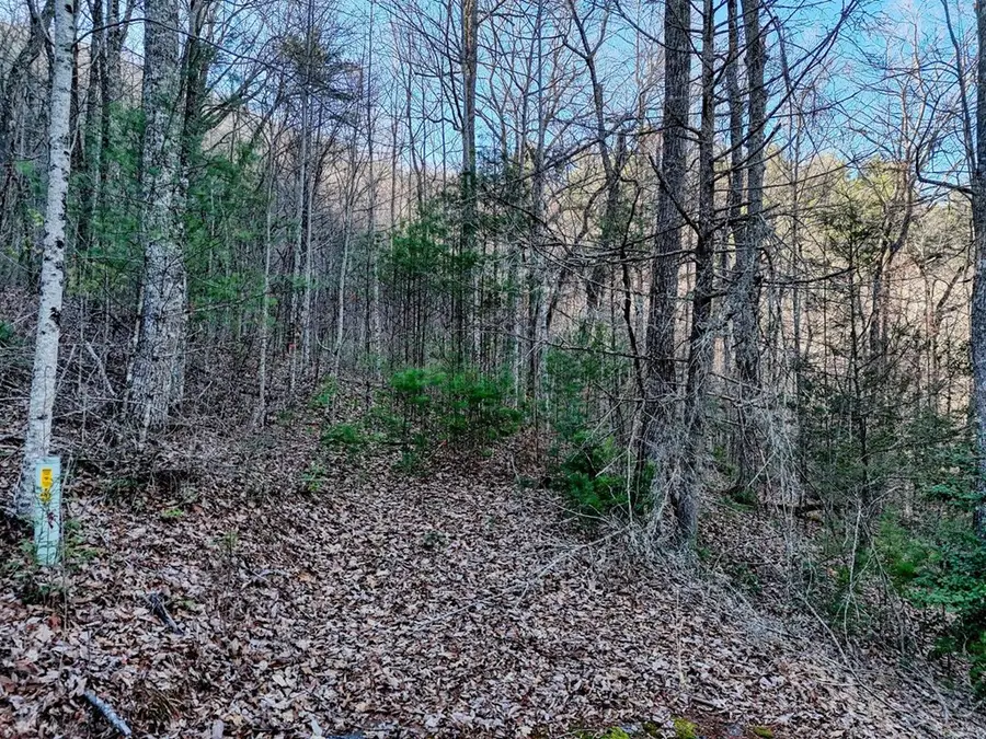 Lot 25 Highland Falls, Ivylog, GA 30512 - Image #2