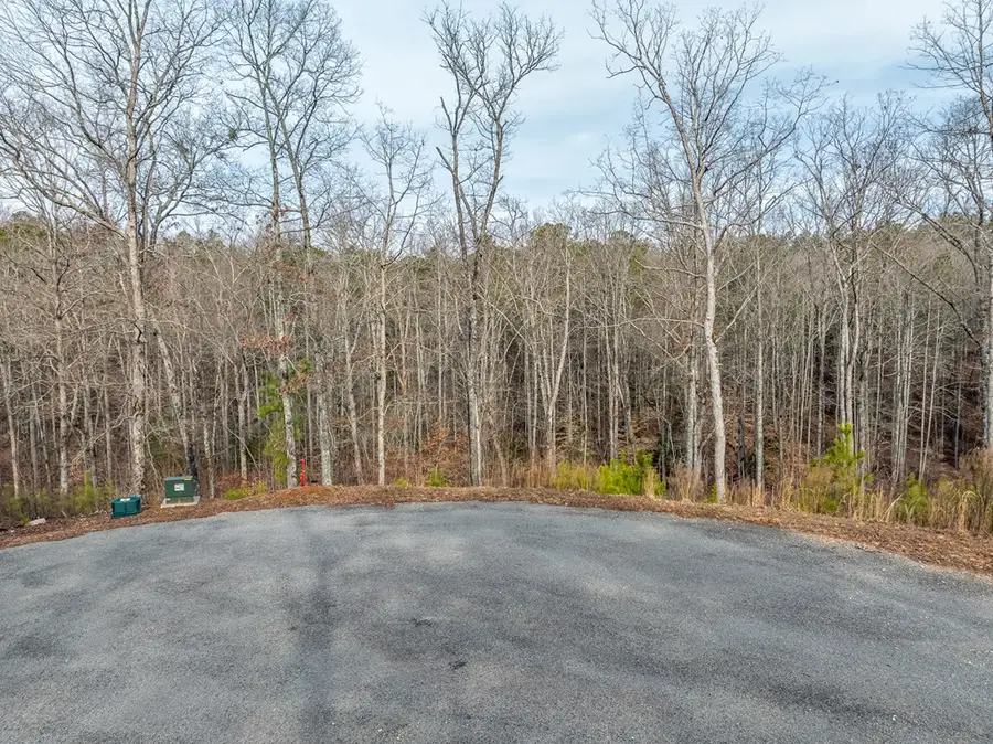 Lot 127 Red Hawk Lane, Ellijay, GA 30540 - Image #2