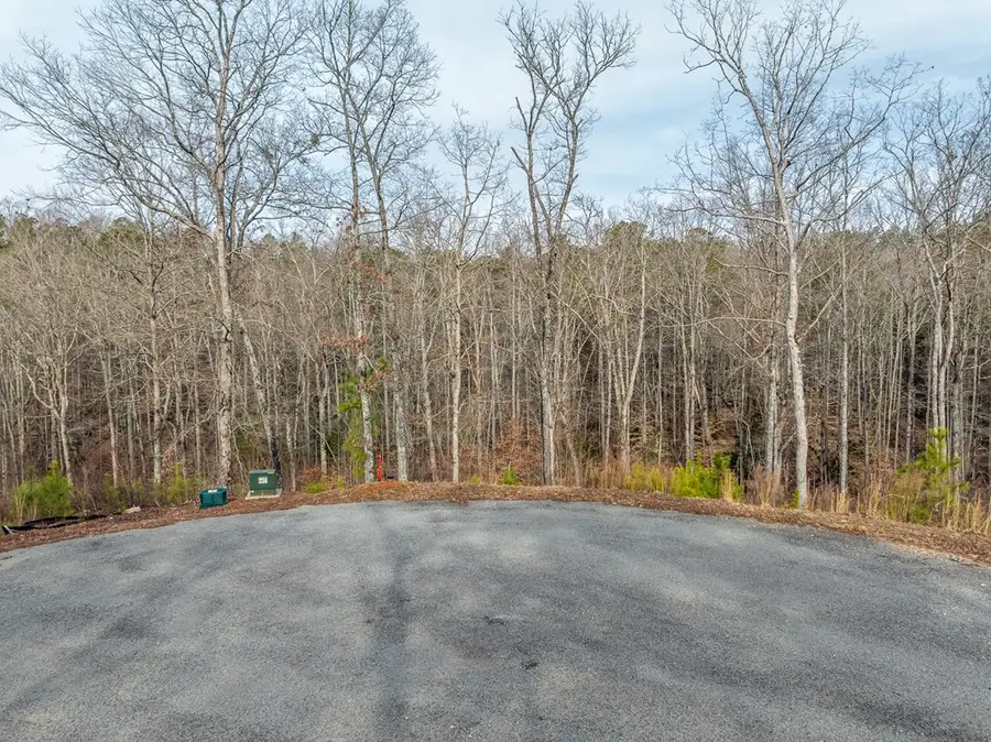 Lot 127 Red Hawk Lane, Ellijay, GA 30540 - Image #3