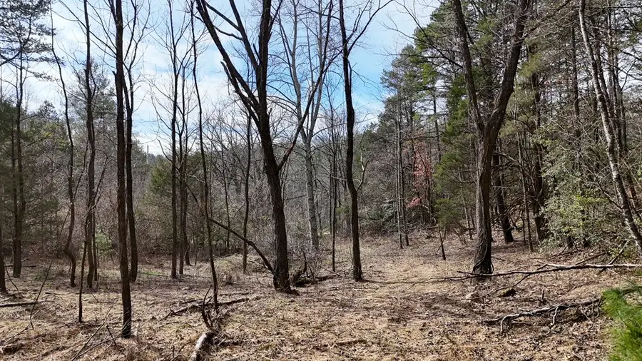 TBD Holly Road, Murphy, NC 28906 - Image #3