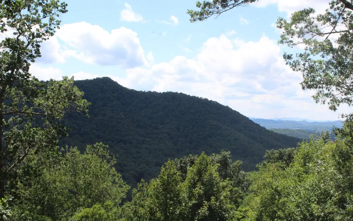 133 Shiloh Ridge, Hayesville, NC 28904 - #1