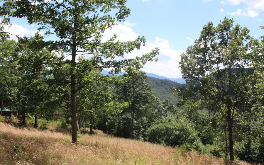 133 Shiloh Ridge, Hayesville, NC 28904 - #3