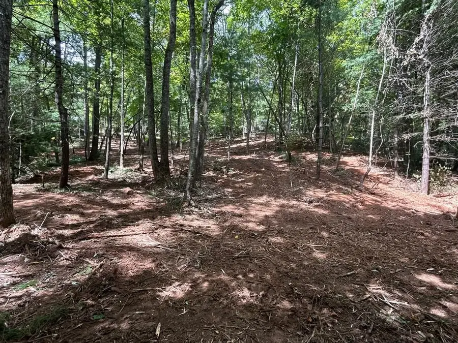 Lot 12A Oak Loop, Mineral Bluff, GA 30559 - Image #2