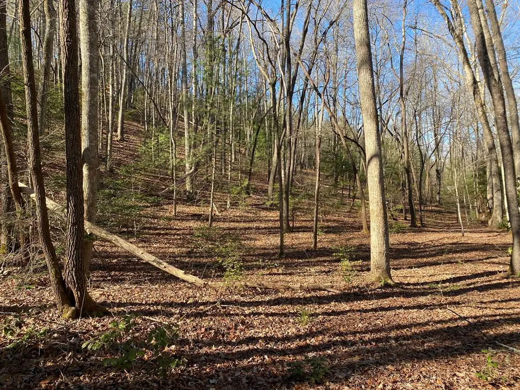 TBD Collett Woods Cove, Andrews, NC 28901 - Image #1