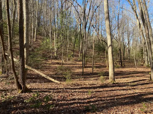 TBD Collett Woods Cove, Andrews, NC 28901