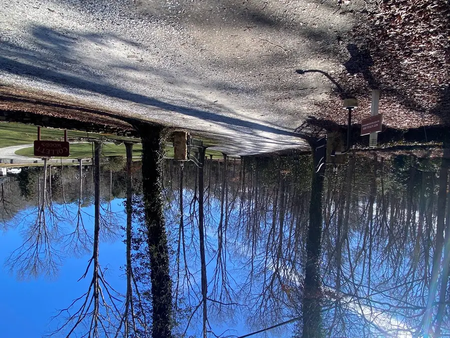 TBD Collett Woods Cove, Andrews, NC 28901 - Image #2