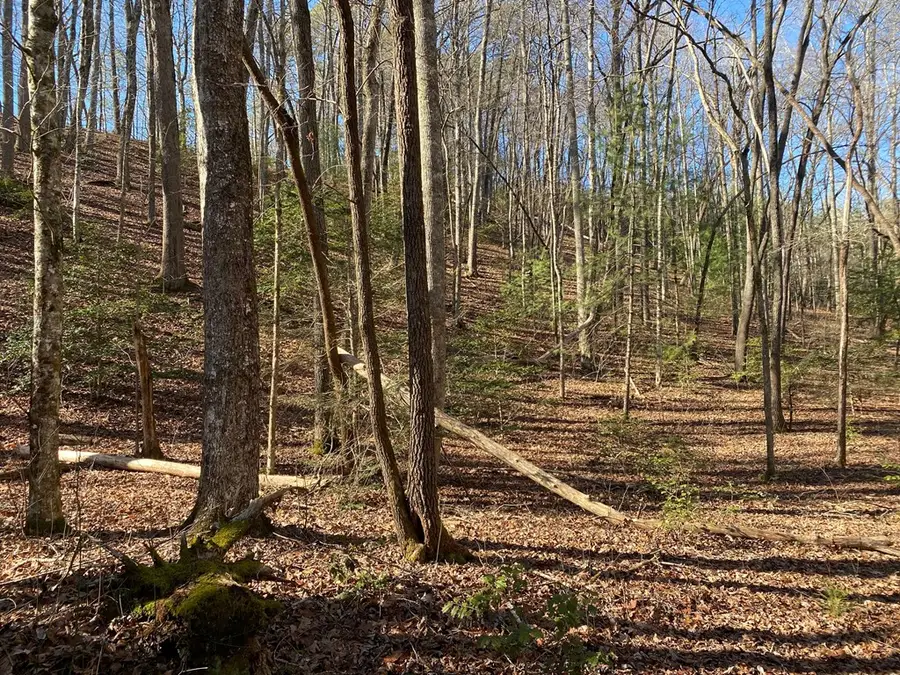 TBD Collett Woods Cove, Andrews, NC 28901 - Image #3