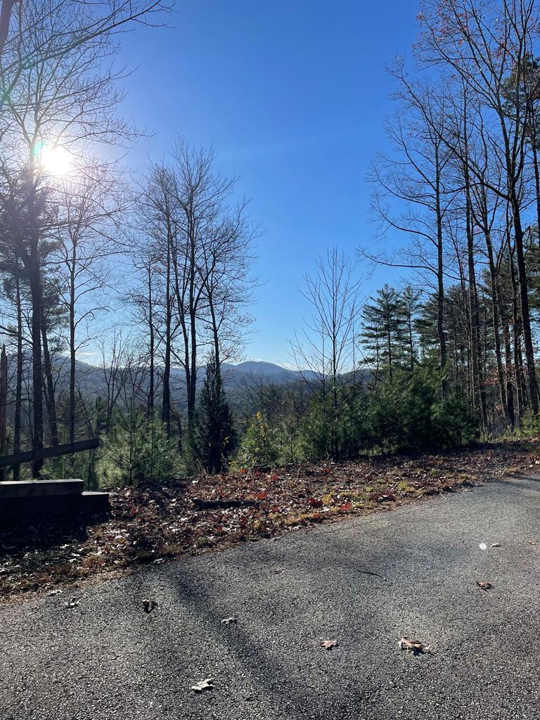 LT 62 Gobblers Knob/laurel, Suches, GA 30572 - Image #3