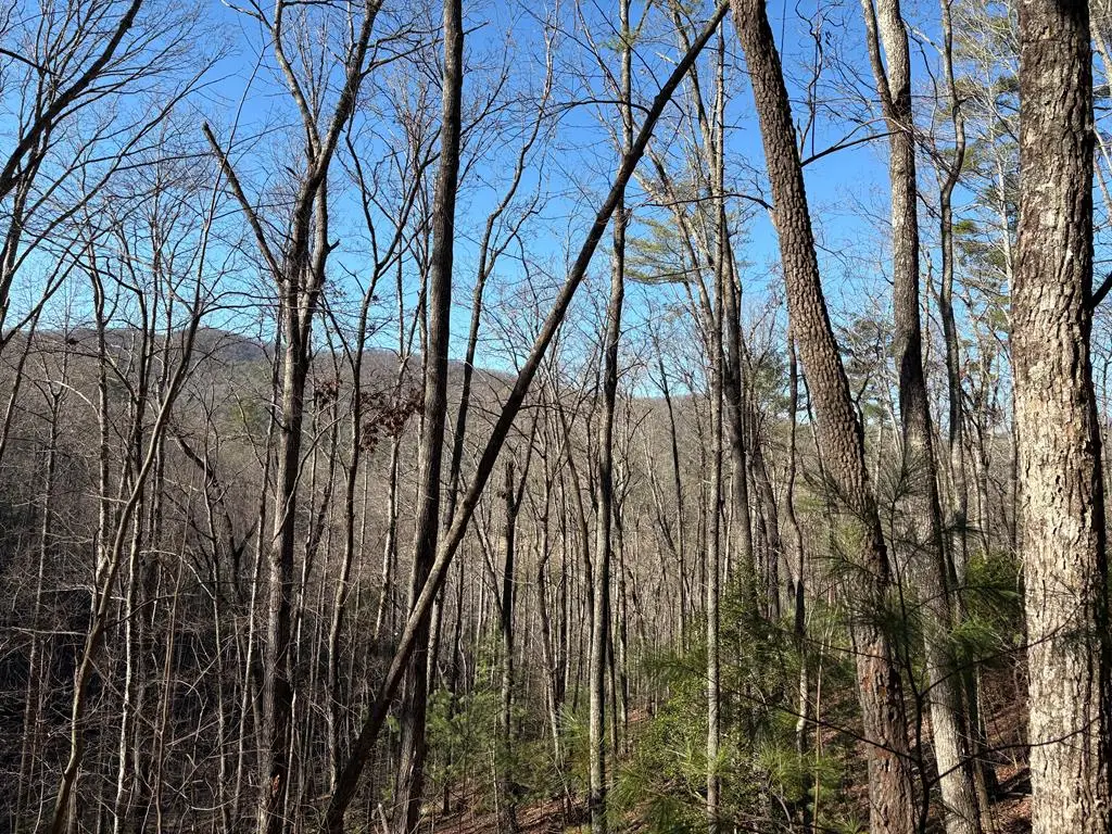 LT 61 Laurel Trail, Suches, GA 30572 - Image #1