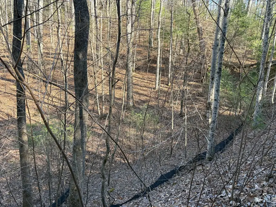 LT 61 Laurel Trail, Suches, GA 30572 - Image #2