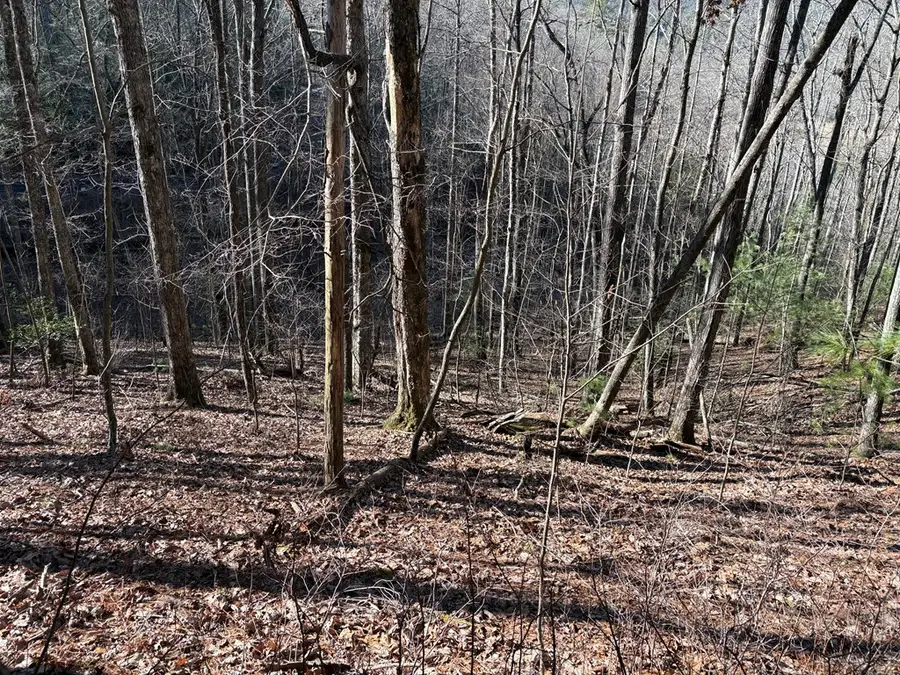 LT 61 Laurel Trail, Suches, GA 30572 - Image #3