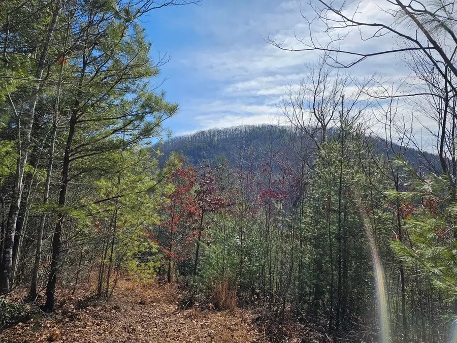 51 Kudzu Creek Trail, Murphy, NC 28906 - Image #2