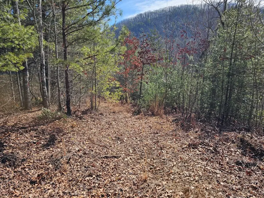 51 Kudzu Creek Trail, Murphy, NC 28906 - Image #3