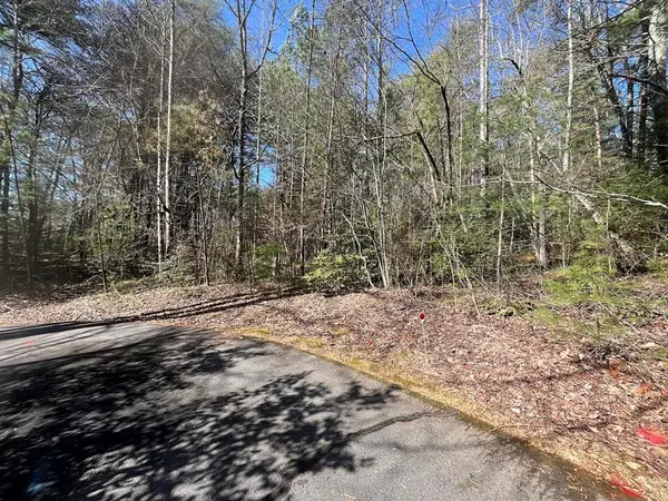 Lot 1 E Licklog Ridge, Hayesville, NC 28904