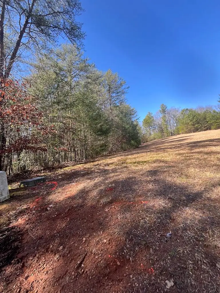 Lot 1 E Licklog Ridge, Hayesville, NC 28904 - Image #2