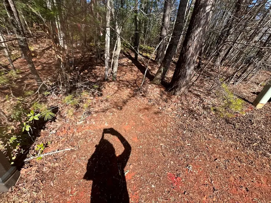 Lot 1 E Licklog Ridge, Hayesville, NC 28904 - Image #3