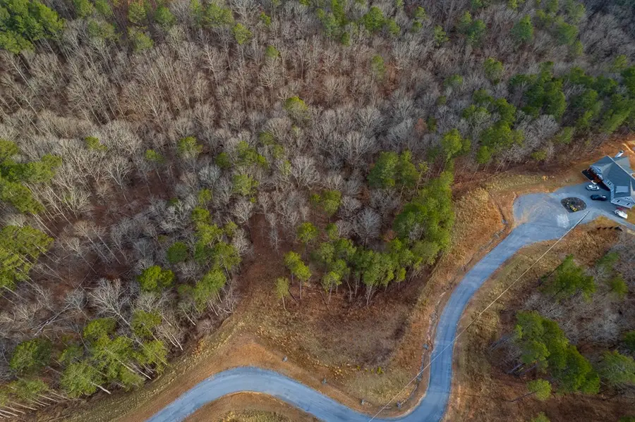 Lot 186 Shelter Cove Trail, Talking Rock, GA 30175 - #3