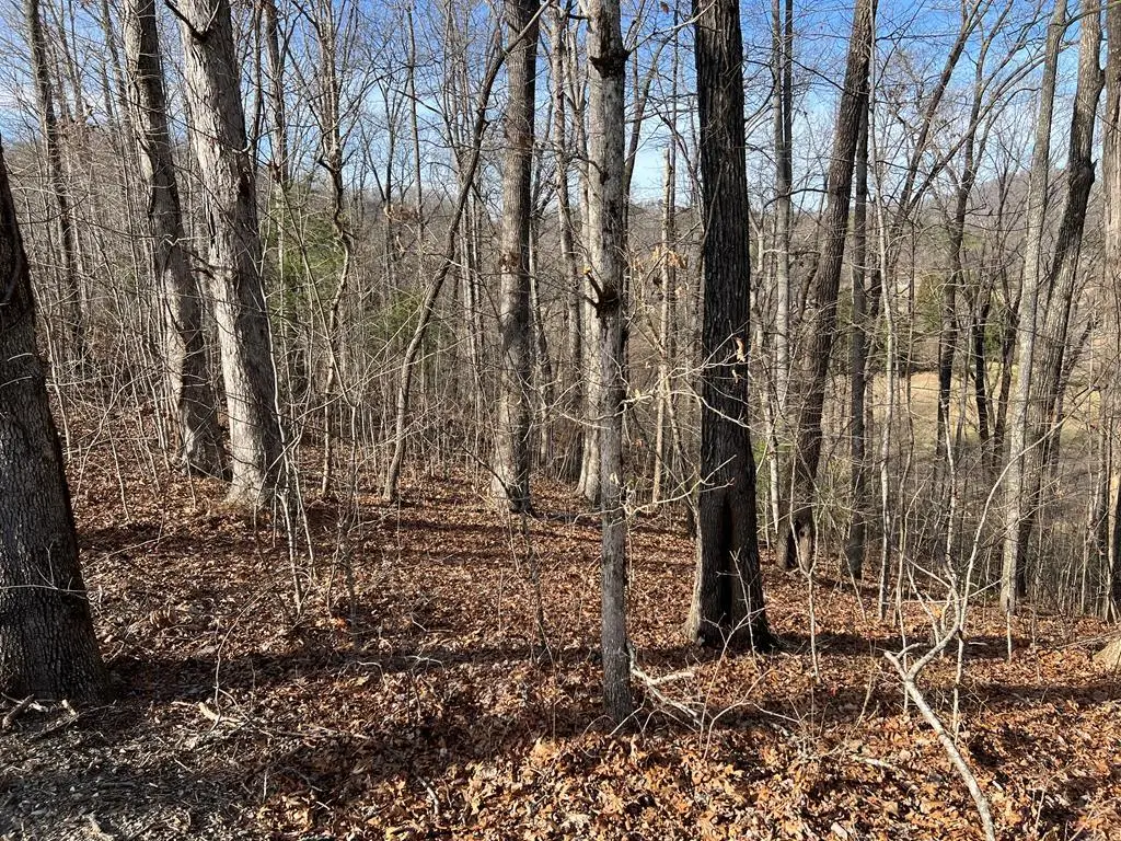 Lot 77A Licklog Ridge, Hayesville, NC 28904 - #1