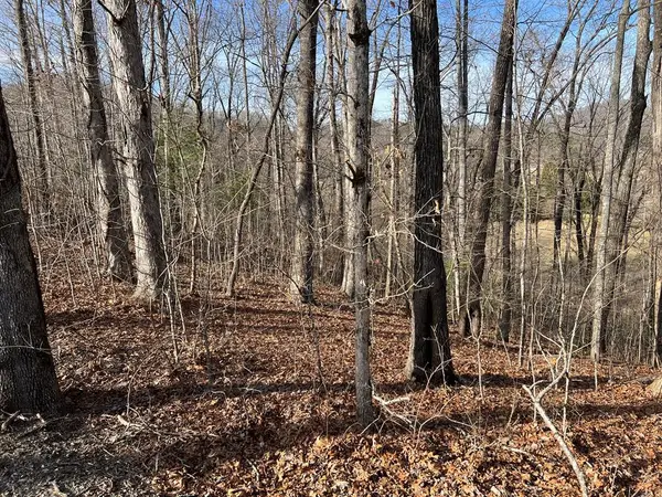 Lot 77A Licklog Ridge, Hayesville, NC 28904