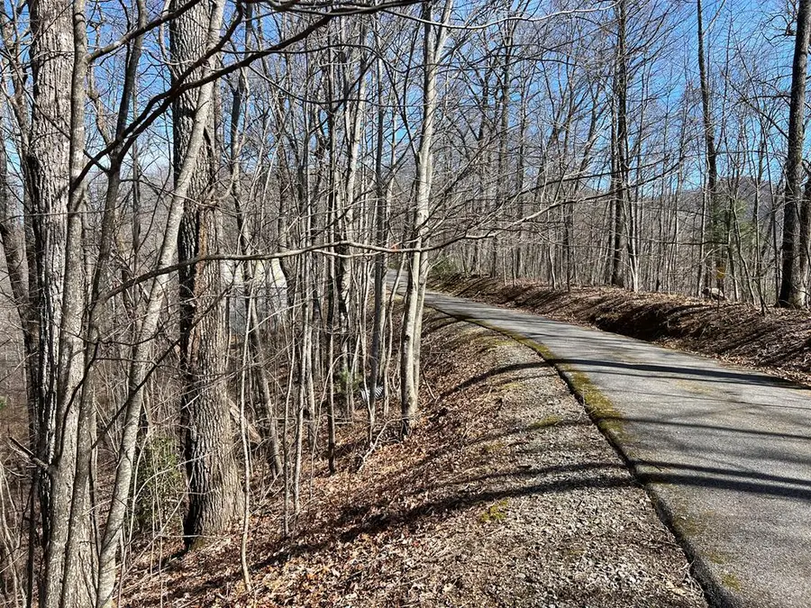 Lot 15 Bear Trail,phase 2, Hiawassee, GA 30546 - Image #2