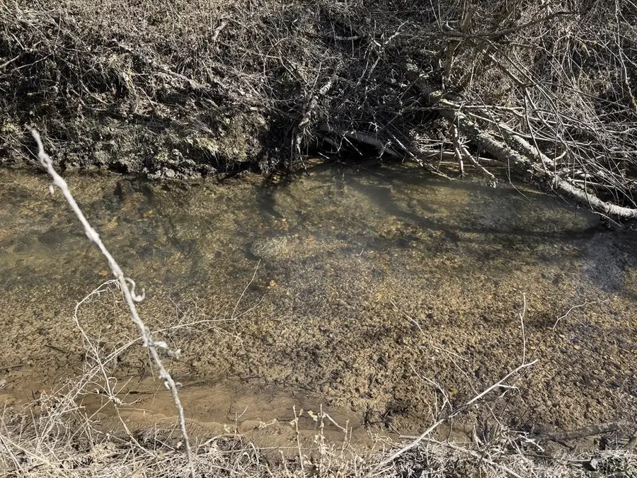 00 Heaton Road, Marble, NC 28905 - Image #2