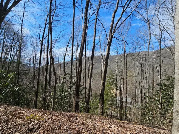 Lot 16 Warrior Way, Andrews, NC 28901