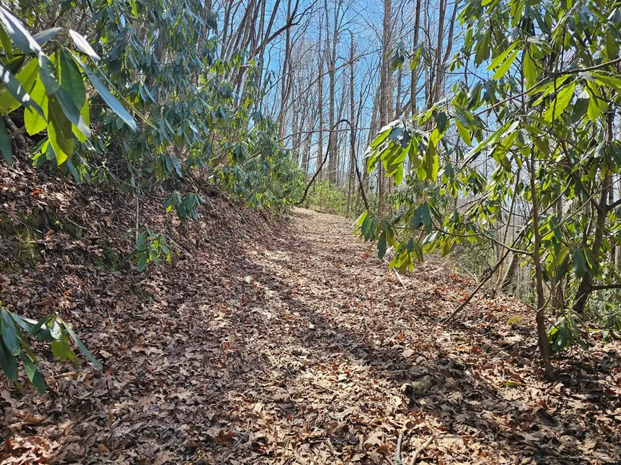 Lot 16 Warrior Way, Andrews, NC 28901 - Image #2