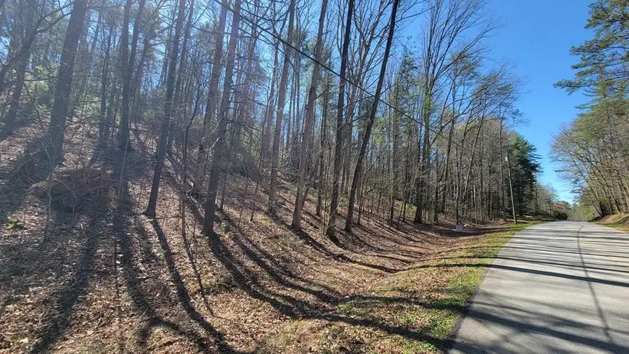 NA Rock Creek Road, Cherry Log, GA 30522 - Image #2