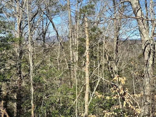 Lot 1198 Lancer Court, Ellijay, GA 30540 - #1
