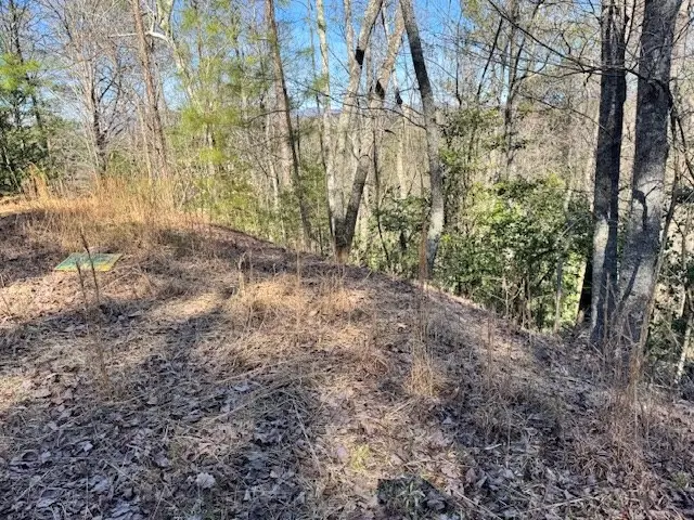 Lot 1198 Lancer Court, Ellijay, GA 30540 - #2