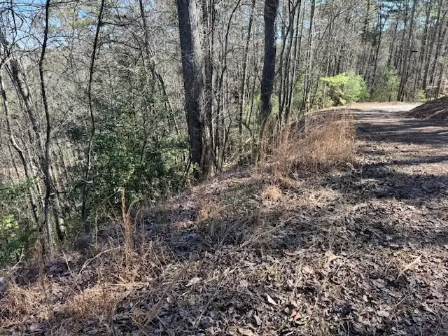Lot 1198 Lancer Court, Ellijay, GA 30540 - #3