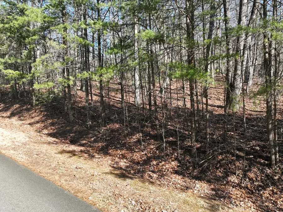 57 St Andrews Way, Ellijay, GA 30536 - #2