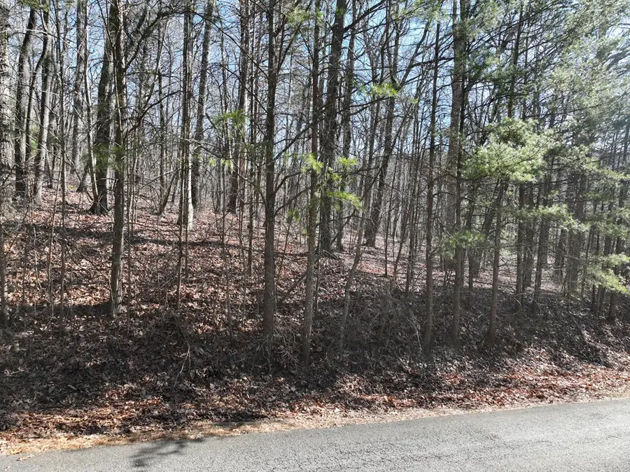 57 St Andrews Way, Ellijay, GA 30536 - #3