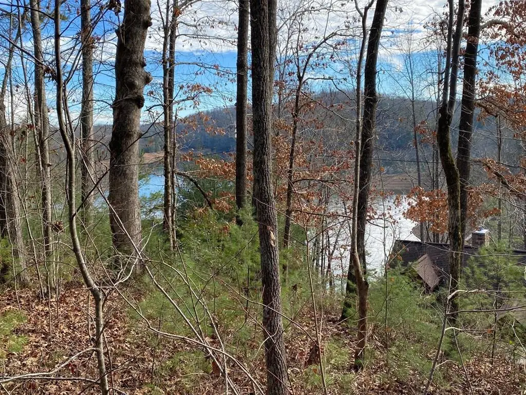 00 Village Road, Murphy, NC 28906 - Image #1