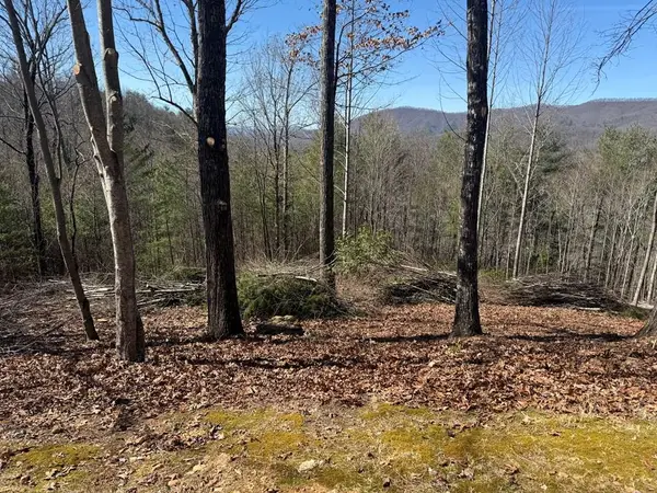 Lot 56 Fires Creek Cove Road, Hayesville, NC 28904