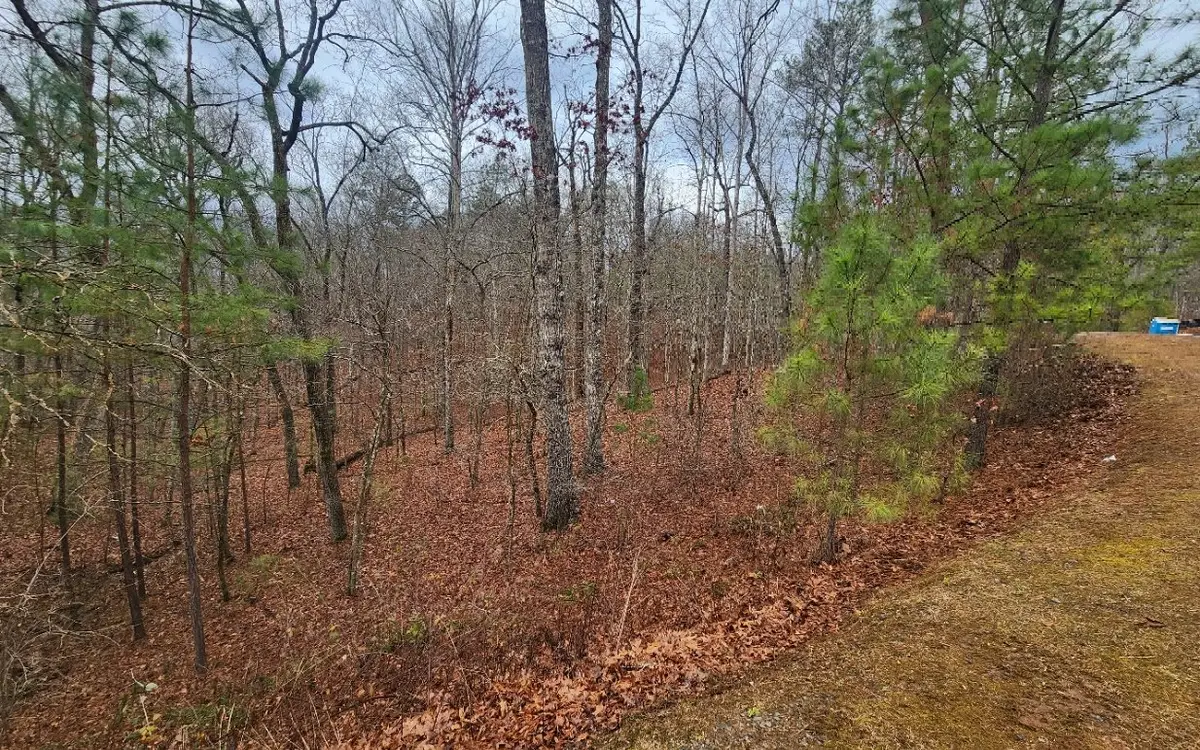 LOT 9 Harris Creek Drive, Ellijay, GA 30540 - #1