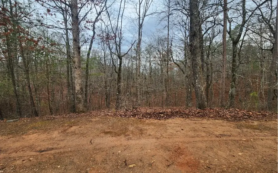 LOT 9 Harris Creek Drive, Ellijay, GA 30540 - #3