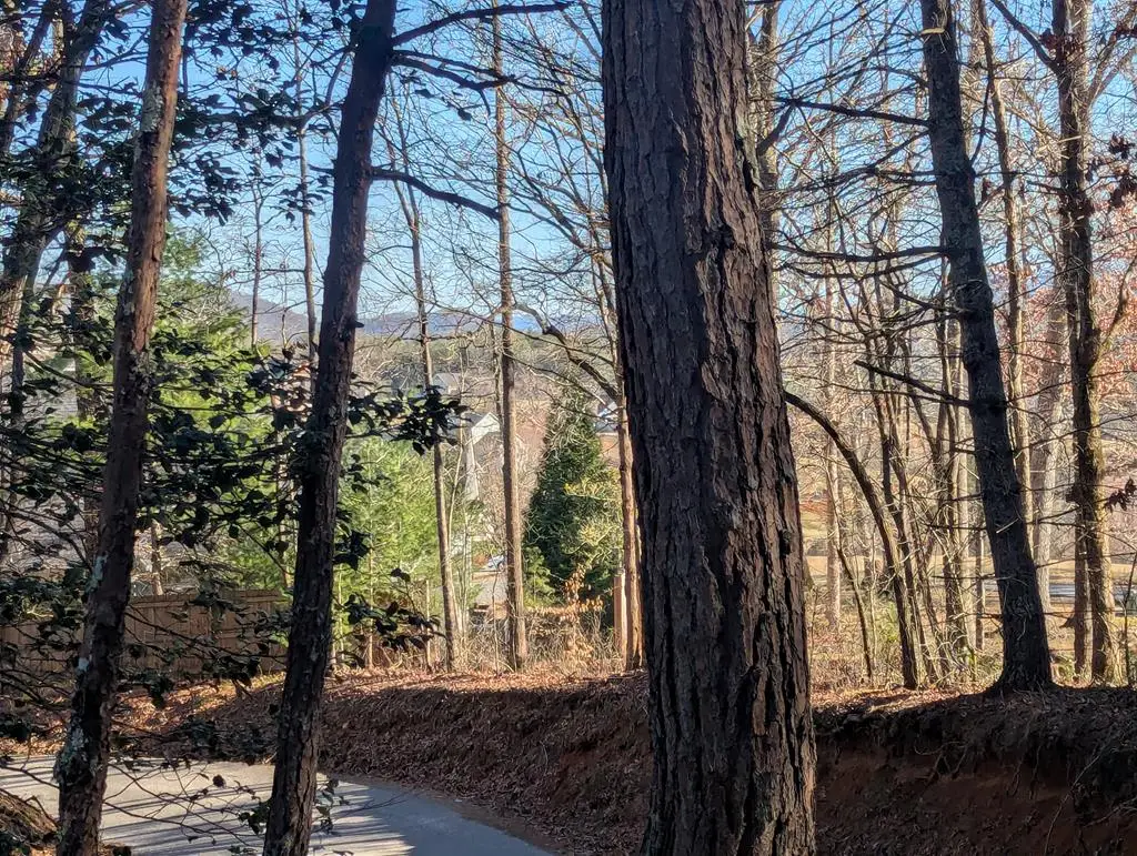 0 Ivy Log Drive, Ivylog, GA 30546 - Image #1