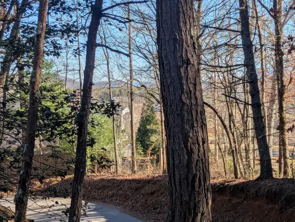 0 Ivy Log Drive, Blairsville, GA 30546