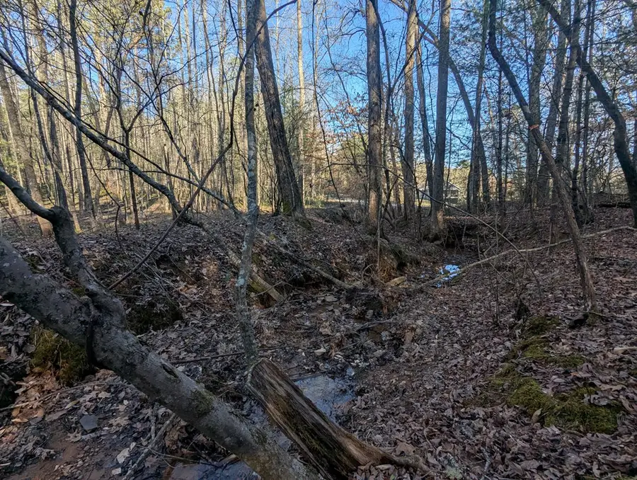 0 Ivy Log Drive, Ivylog, GA 30546 - Image #3