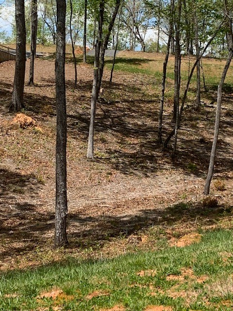 lot #6 Lake Top Lane, Ellijay, GA 30540 - #2