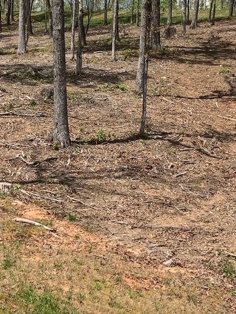 lot #6 Lake Top Lane, Ellijay, GA 30540 - #3