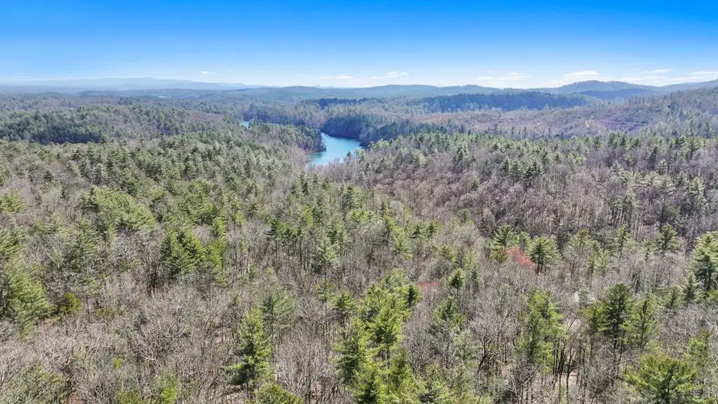 11.1 Ac. Stevens Ridge Road, Ellijay, GA 30540 - #1